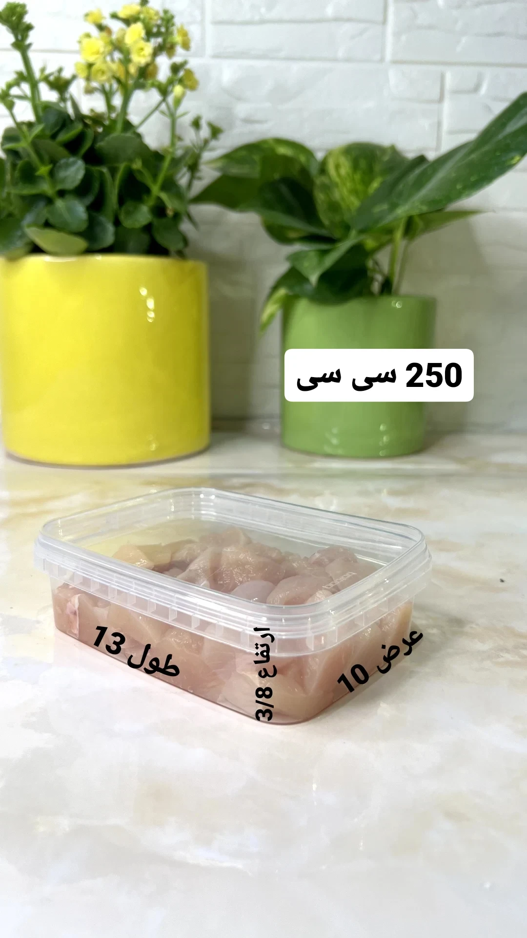 ظروف فریزری 250 سی سی (250سی سی)