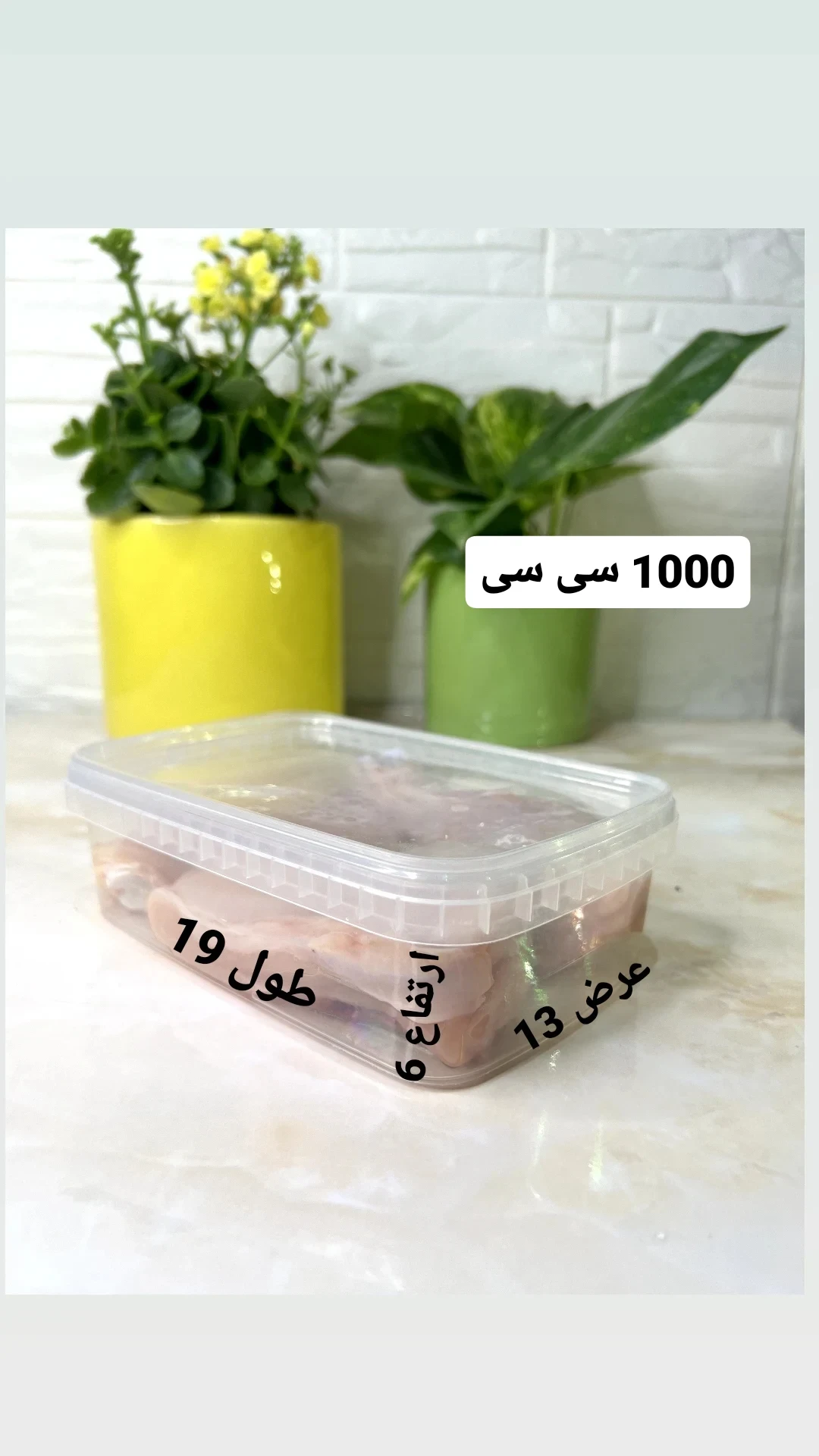 ظروف فریزری 1000 سی سی (1000 سی سی)