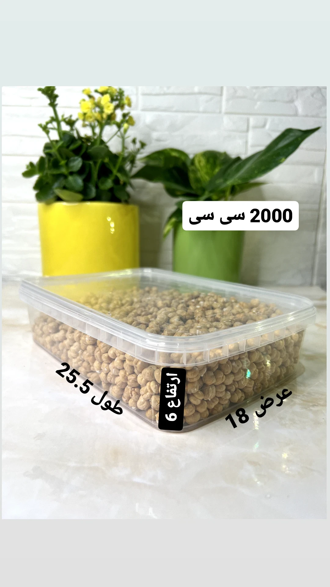 ظروف فریزری درب دار 1750سی سی (1750 سی سی)