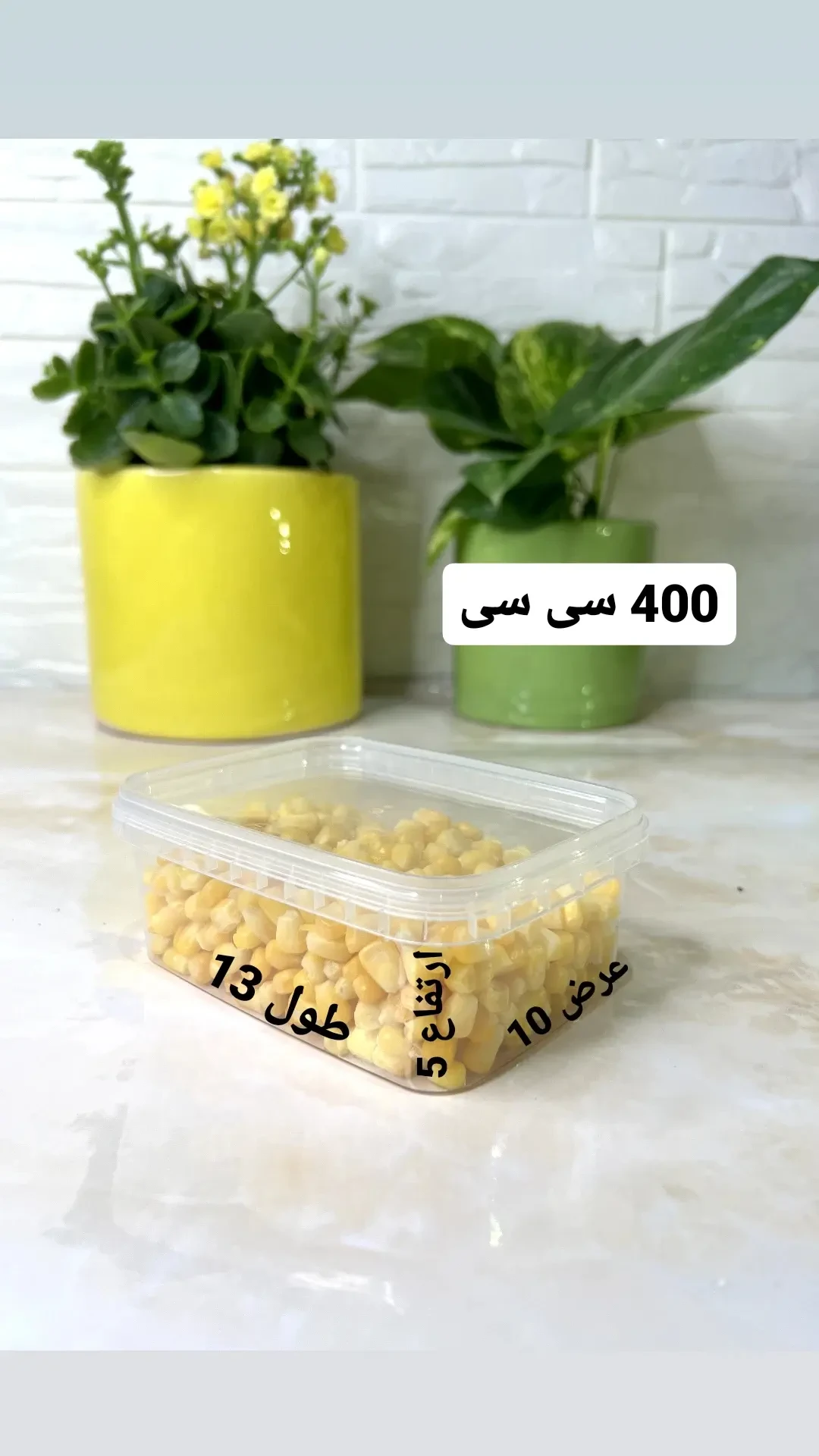 ظروف درب دار فریزری ۴۰۰ سی سی (400 سی سی)